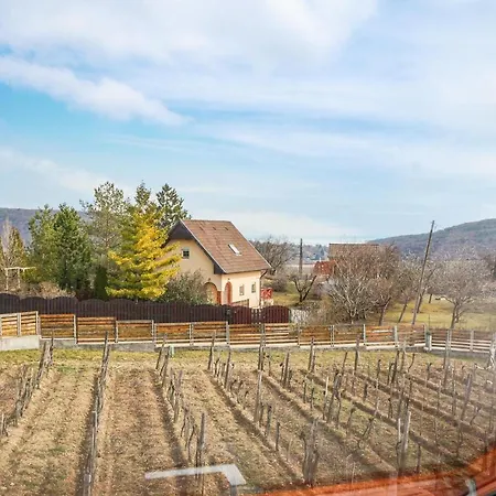 Stunning In W/ Wifi And 1 Bedrooms Felsőörs